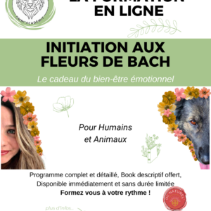 Programme d'initiation à la Florathérapie (fleurs de Bach) pour Humains et Animaux