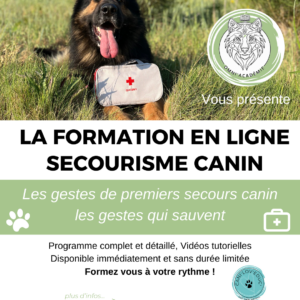 Programme d'initiation au Secourisme canin