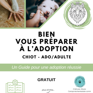Guide gratuit : Bien se préparer pour une adoption réussie !