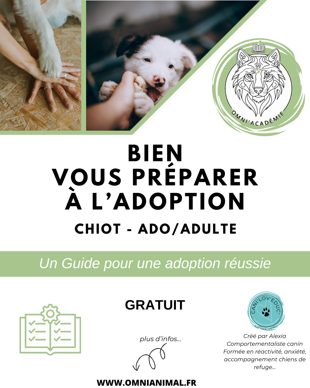 Guide gratuit : Bien se préparer pour une adoption réussie !