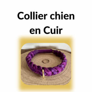 Collier chien en cuir