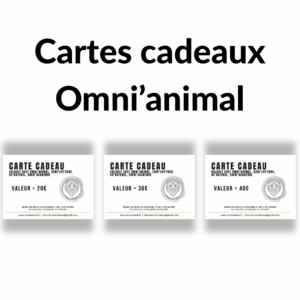 Carte cadeau