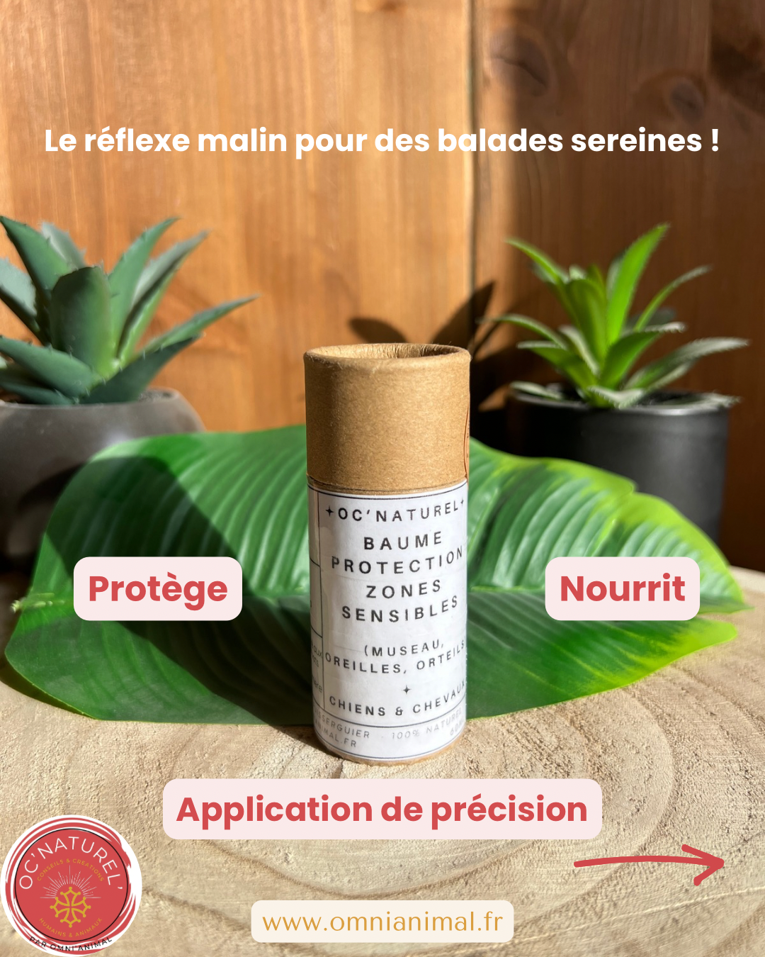 Baume Protection Zones Sensibles – Stick Nomade (60ml)
