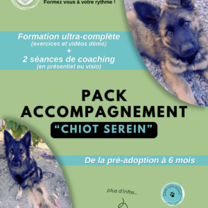 Formation en ligne "Chiot Serein" : Accompagnement de la pré-adoption aux 6 mois